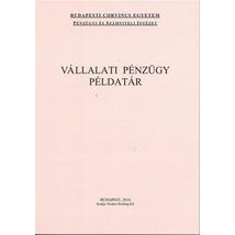 VÁLLALATI PÉNZÜGY PÉLDATÁR