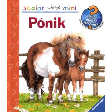 MIT?MIÉRT?HOGYAN? MINI - PÓNIK