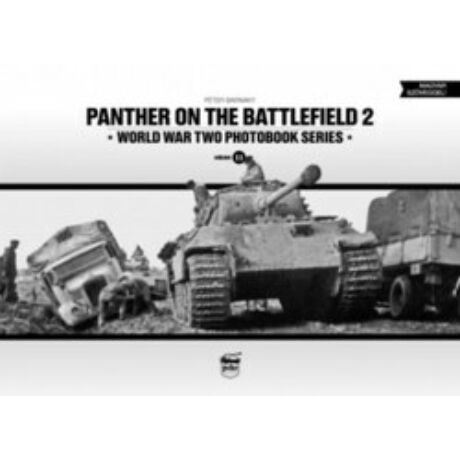PANTHER ON THE BATTLEFIELD 2.