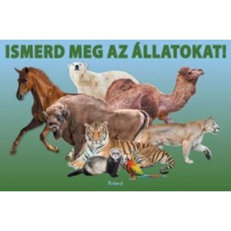 ISMERD MEG AZ ÁLLATOKAT!